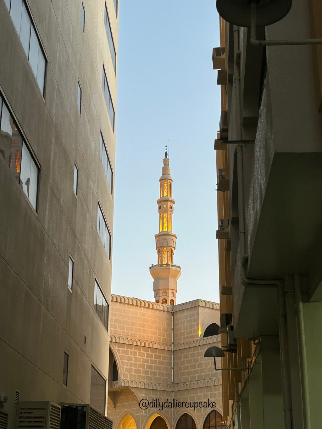 WORDLESS WEDNESDAY #focalpoint