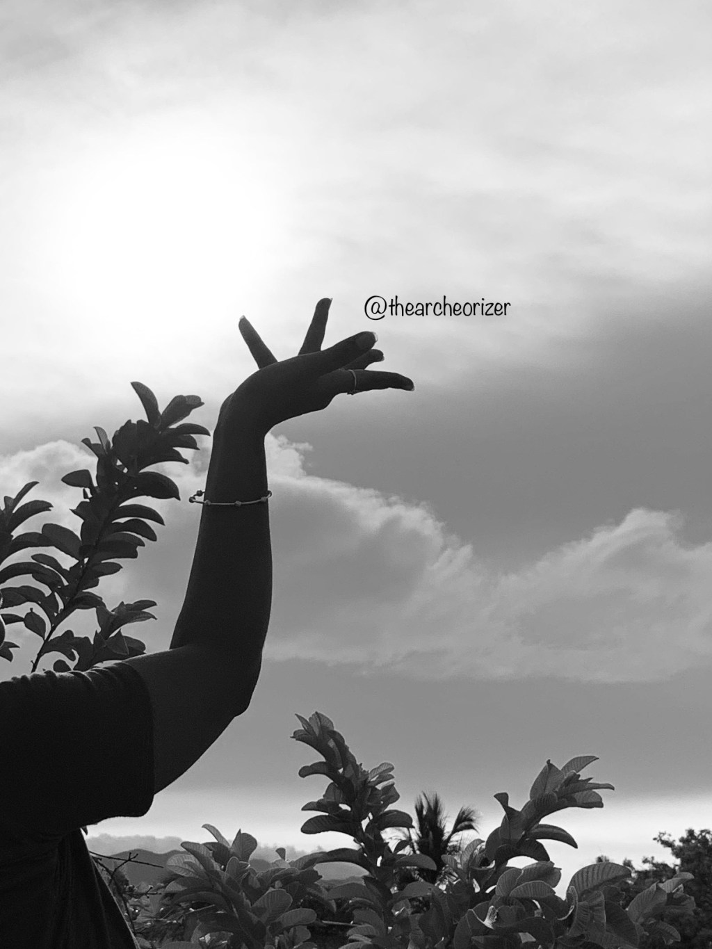 WORDLESS WEDNESDAY #silhouette